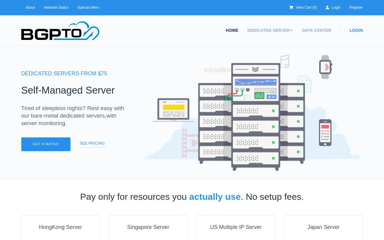 BGPTO 官网截图